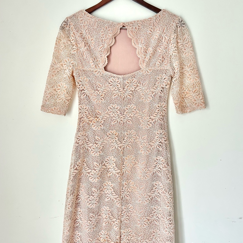Pink Blush Lace Midi Dress | Size Small (fits like Medium) | Cottagecore Dress - Picture 4 of 6